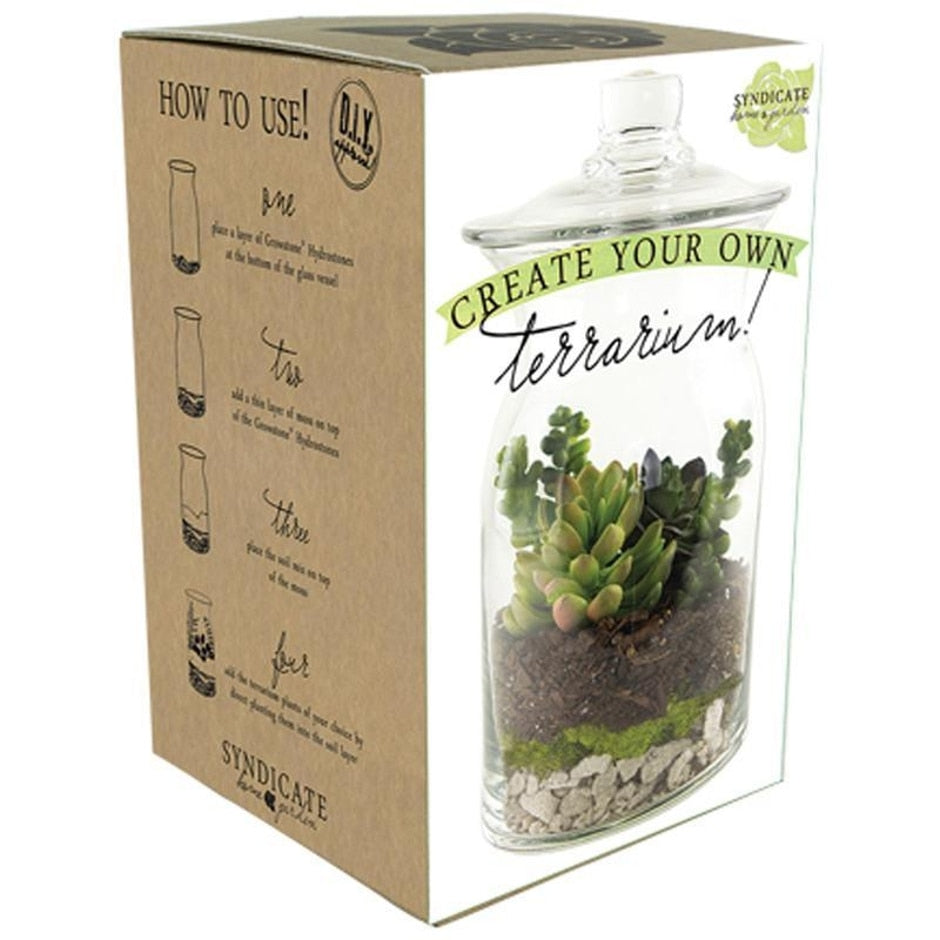 build your own succulent kit DIY TERRARIUM KIT - Centereach, NY