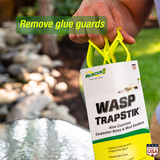 Rescue TrapStik Wasp Trap