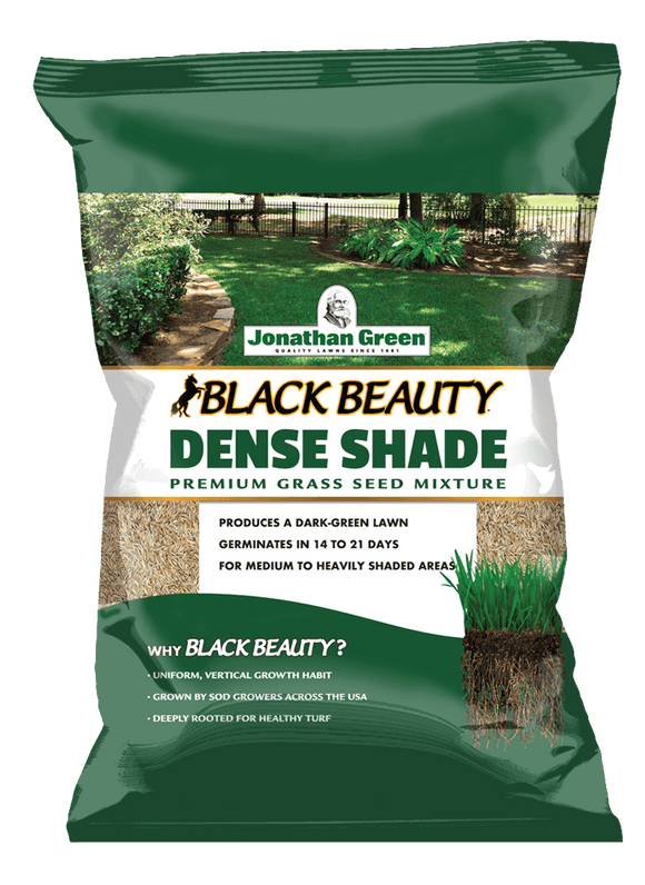Jonathan Green Black Beauty® Dense Shade Grass Seed