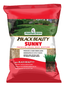 Jonathan Green Black Beauty® Sunny Grass Seed