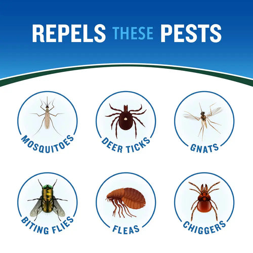 Cutter Backwoods Insect Repellent (Aerosol)